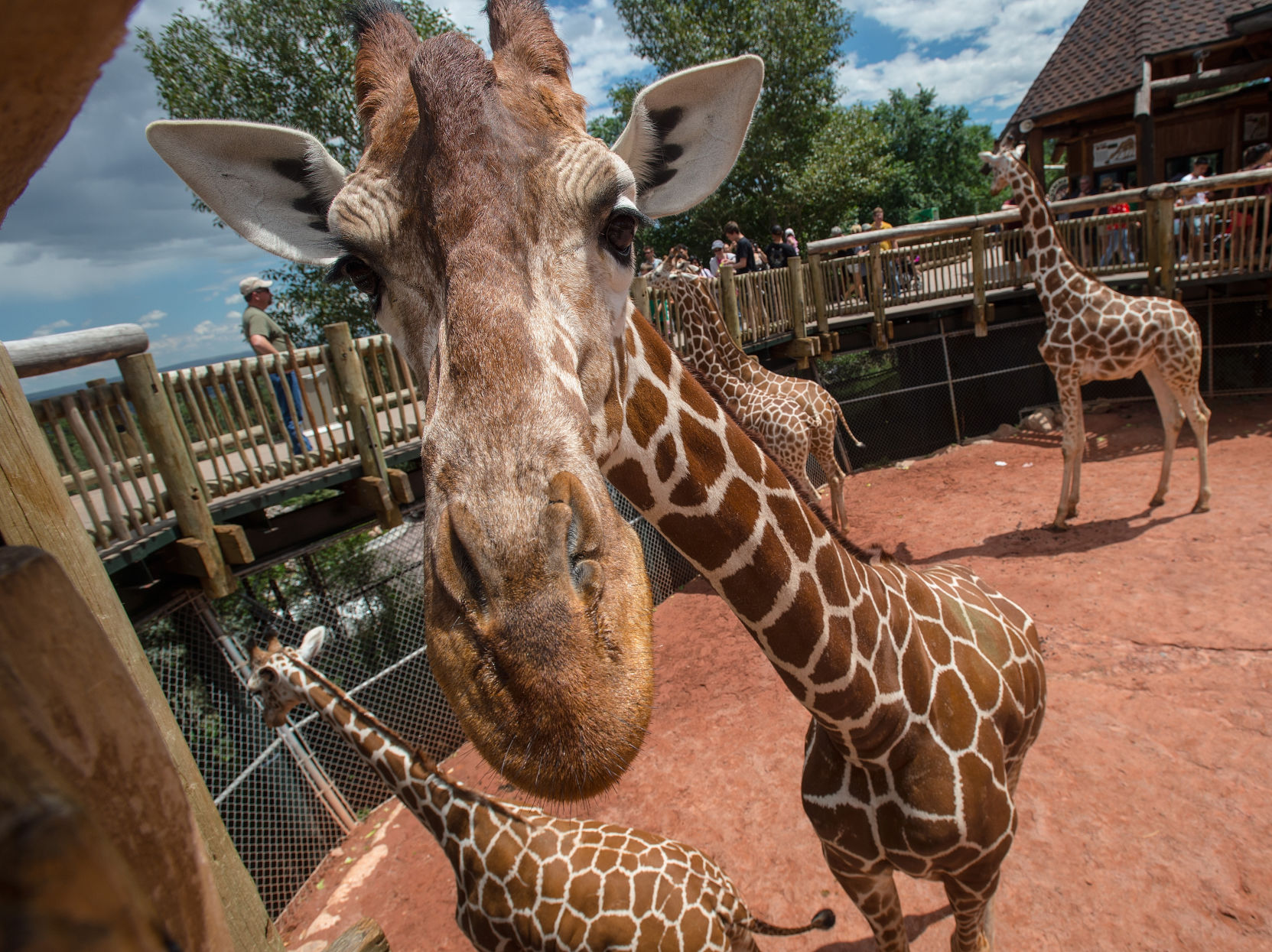 Cheyenne Mountain Zoo